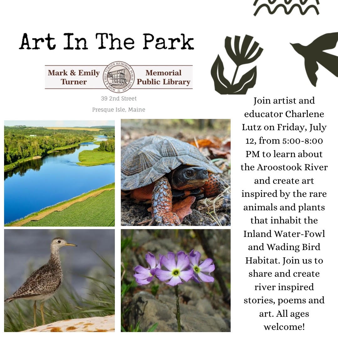 Art in the Park