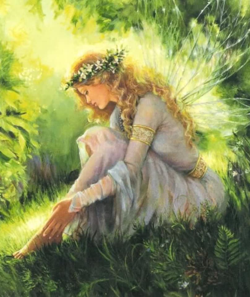 Fairy Festival