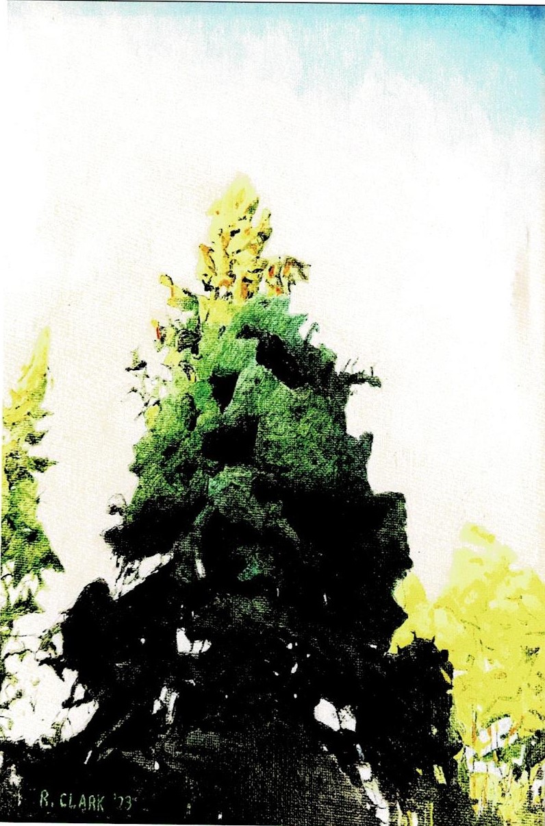 Trees By Richard Clark