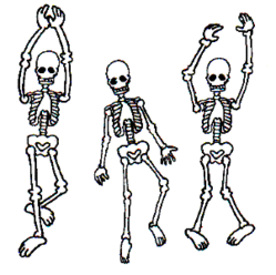 bone builders